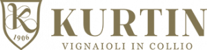 Logo di Kurtin
