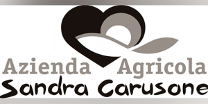 Logo Carusone