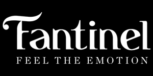 Logo Fantinel