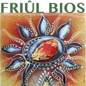 Logo di Friul Bios