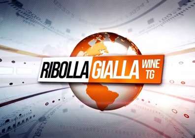 È arrivato il primo web TG dedicato alla Ribolla Gialla del Friuli!