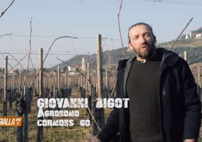 Online la Seconda Edizione di Ribolla Gialla Wine TG!