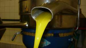 Un momento della produzione di olio d'oliva di Fior Rosso