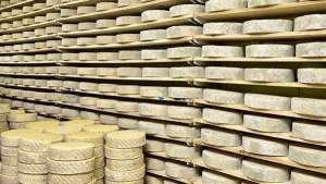 Forme di formaggio prodotte da Visinale